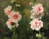 Gustave Bienvêtu, Hollyhocks, oil on board