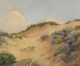 George Demont Otis, Sunshine and shadows near San Francisco