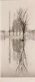 Michael Kenna, Reflection, Richmond, Surrey, England