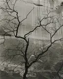 Brett Weston, Glen Canyon