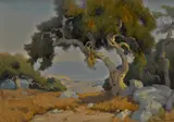 Montecito oak by Marion Wachtel, watercolor on paper affixed to board, sold Apr 2015
