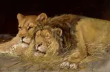 Olaf Carl Seltzer, Lions at rest