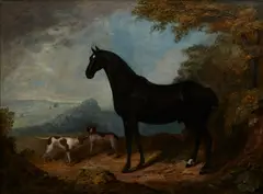 John Nost Sartorius, A horse and dogs in a landscape, oil on canvas