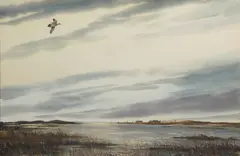 American widgeon by David Hagerbaumer, watercolor on paper, sold Feb 2015