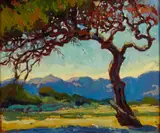 Jessie Arms Botke, Monterey pines and coastal hills, oil on board