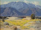 Carl Sammons, Wildflowers on the valley floor with mountains beyond, oil on canvas affixed to board