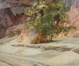 R. Brownell McGrew, Paloverde