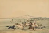 George Catlin, Wild Horses at Play, pl. 3, from Catlin's North American Indian Portfolio, 1884, Lithograph in colors with handcoloring on wove paper  mounted to hand-ruled card