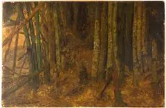 Frederic Edwin Church, A study of bamboo, oil on paper laid down on Masonite