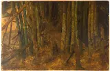 Frederic Edwin Church, A study of bamboo, oil on paper laid down on Masonite