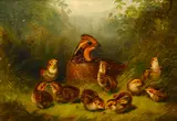 Arthur Fitzwilliam Tait, Quail and Young