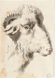 Jean-Jacques de Boissieu, A head of a ram