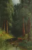 Carl Jonnevold, In the Redwoods, California