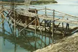 Donald Teague, The bamboo bridge