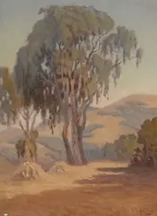 George Smith Tilden, A eucalyptus tree with sunlit hills beyond, 1921, oil on canvas