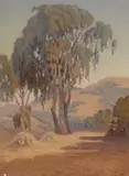George Smith Tilden, A eucalyptus tree with sunlit hills beyond, 1921, oil on canvas
