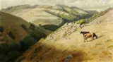 Thaddeus Welch, Cattle grazing in Marin Hills, 1902, oil on canvas