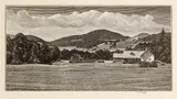 Asa Cheffetz, Landscape, Vermont (S. 78), 1946, Wood engraving on wove paper