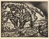 Howard Cook, The Desert Tree (Mexican Landscape) (D. 177)