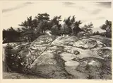 Stow Wengenroth, Woodland Ledge (S. 261), 1960, Lithograph on wove paper