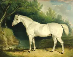 A gray hunter by British School, oil on canvas, sold Jul 2013