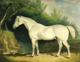 A gray hunter by British School, oil on canvas, sold Jul 2013