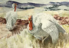 White Turkeys by Russell Cowles, watercolor on paper, offered Jul 2013