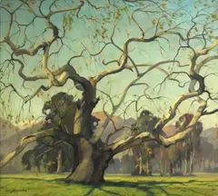 Carl Hoerman, California sycamore, oil on canvas