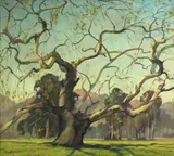 Carl Hoerman, California sycamore, oil on canvas