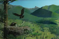 Peter Kola, Eagle's nest, 1985, oil on canvas