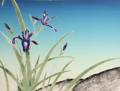 Daniel Joshua Goldstein, Iris at Dusk, from Iris Suite, 1980, Color woodcut on wove paper