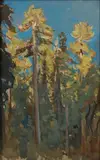 Colin Campbell Cooper, The Last Rays, Big Basin, Cal