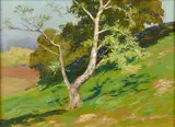 Charles Partridge Adams, Mt. Taylor from Bartholf Park (Estes Park); Haystacks; Tree on Mountainside (3)