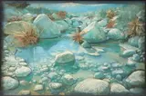 Peter Ellenshaw, Rocky pool landscape, 1974, screen print and dried leaves collage on masonite