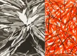 Charles Arnoldi, Untitled, from Three American Artists, 1982, Etching and aquatint in colors on wove paper