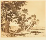 George Elbert Burr, Piñon Trees, New Mexico; Mesa Encantada, New Mexico (No. 1) (S. 217; 216), 1920; 1921, Etching and drypoints on wove paper, each signed in pencil and titled, Piñon Trees annotated 'Trial proof - first state /40'