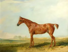 Ra James Ward, Sir Richard Sutton's chestnut hunter, oil on panel