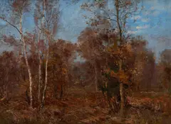 Franklin Brownell, Birchwood Near Eagle Peak, British Columbia, Canada