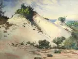William S. Rice, Monterey dunes