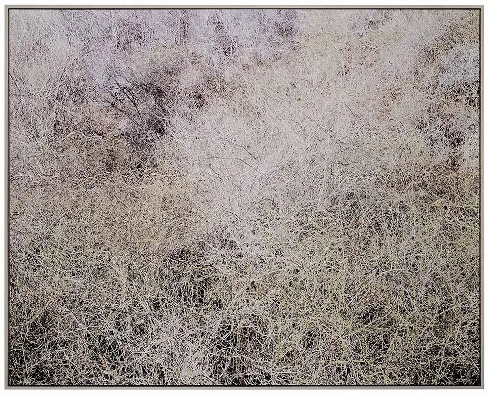 Misha de Ridder, [Matouwacs], 2009, C Print on mounted on acrylic