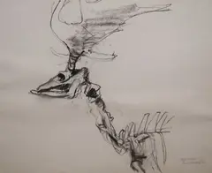 Barrie Cooke, Elk Skeleton 1, Charcoal