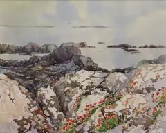 Pauline Scott, Rock Plants, Ballyconnelly, Watercolour