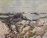 Pauline Scott, Rock Plants, Ballyconnelly, Watercolour