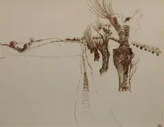 Patrick Pye, Rural Fields, Pen & ink