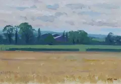 Brett McEntagart, Meath Fields, 1997, Oil on board
