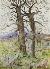 Pauline Bewick, Two Oaks And Lichen, Gouache