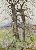 Pauline Bewick, Two Oaks And Lichen, Gouache