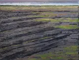 Malachy Costello, Bog Near Frenchpark, Oil on canvas