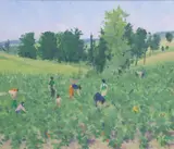 Brett McEntagart, Tomato Pickers, Bourgougnague, France
