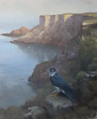 Julian Friers, Peregrine Of Boheeshane, Oil on board